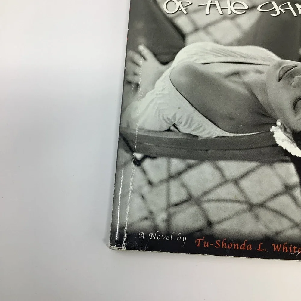 Flip Side of The‎ Game by Tu-Shonda Whitaker 2004 Paperback Romance Novel